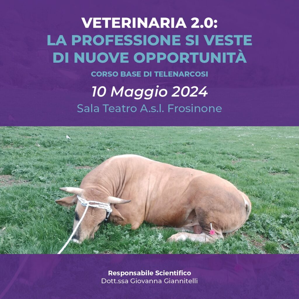 veterinaria